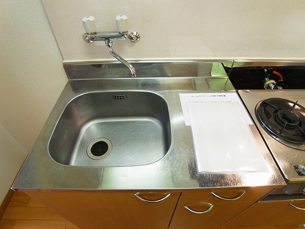 シャイングリーンB その他15