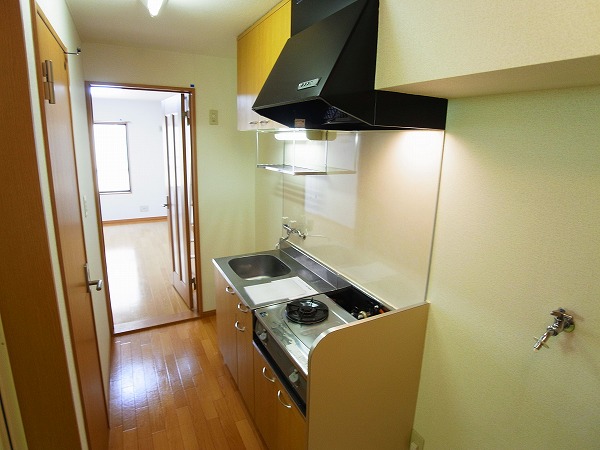 シャイングリーンB その他17