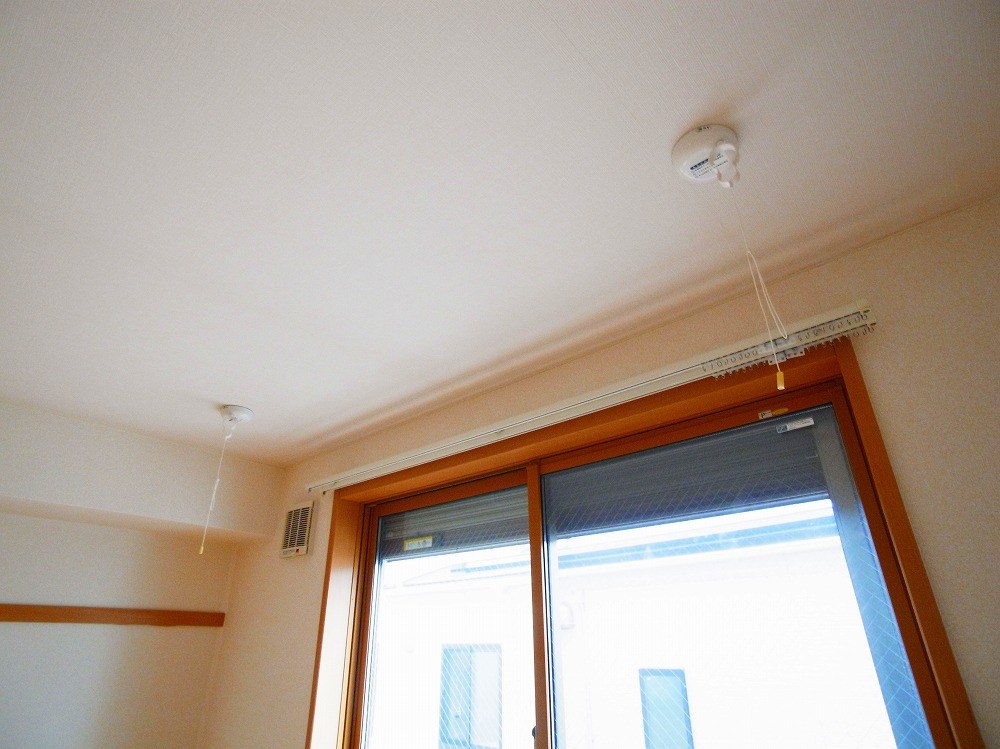 エルソルビオス その他19