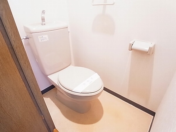 アウローラ その他1