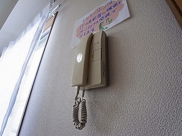 アウローラ その他4