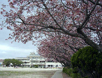 エクメーネセトルＭ 周辺画像4