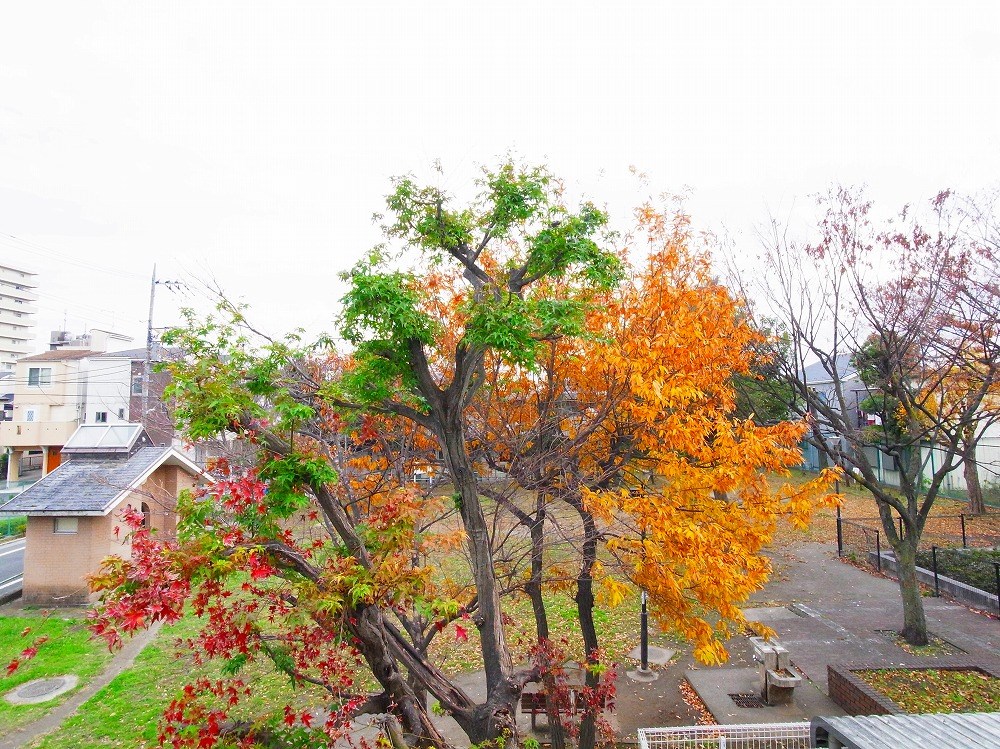 パークサイドソレイユ その他21