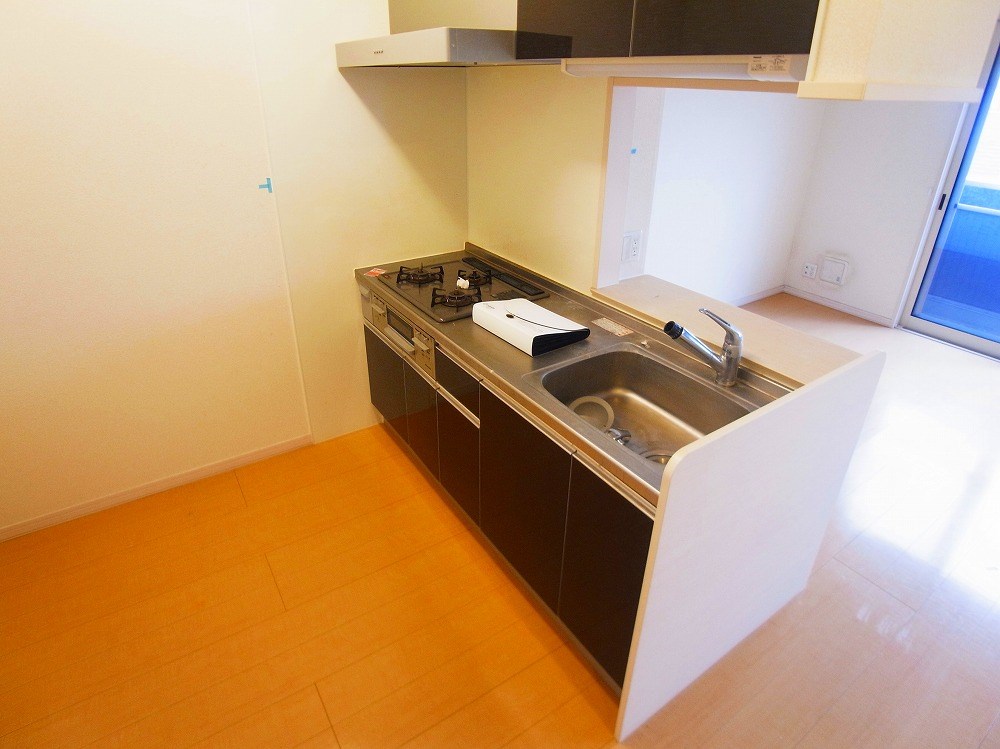 シトロン フレア その他11