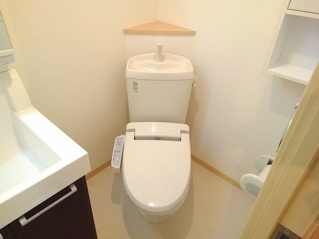 グレイスカレントⅡ その他1