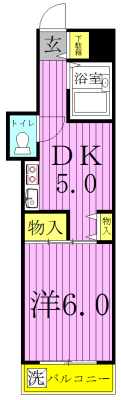 セザール柏 410号室 間取り