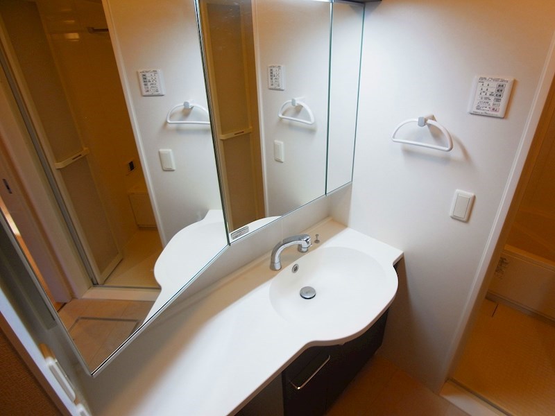 オルテンシアⅠ その他2