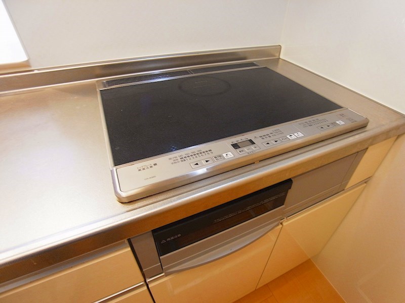 オルテンシアⅠ その他6