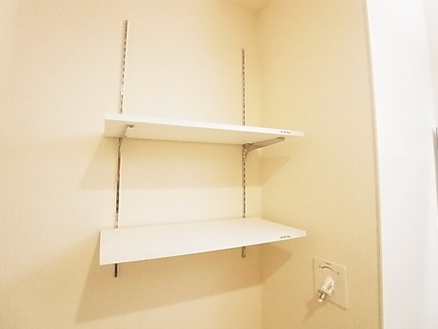 ブルーバード その他7