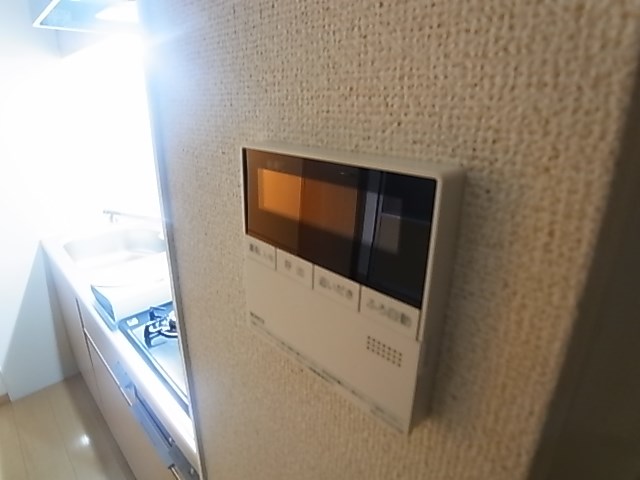 ブルーバード その他9