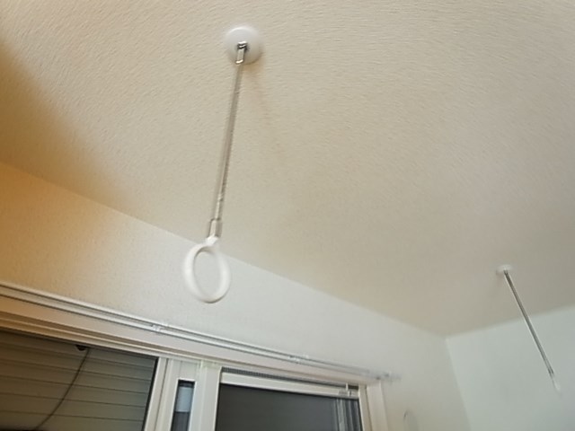 ブルーバード その他10