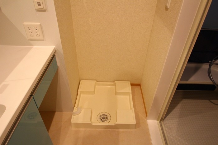 ブルーバード その他15