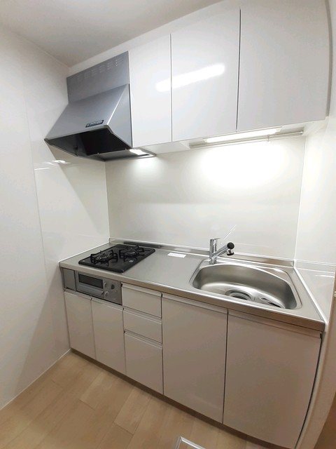 フランジパニ キッチン