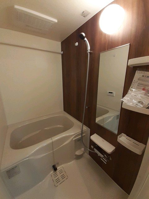 フランジパニ 風呂画像