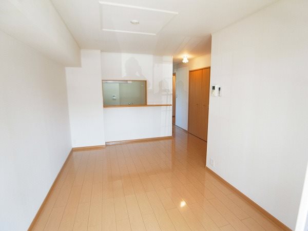 メルシープラザⅣ リビング