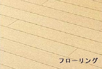 シリウス その他13