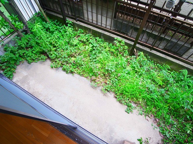 久保木テラスハウス ベランダ