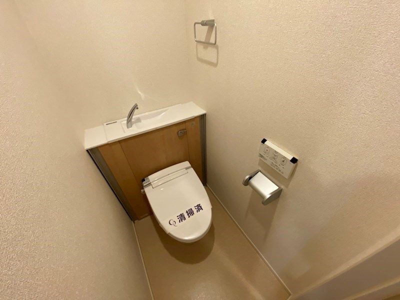 ルミナス その他1