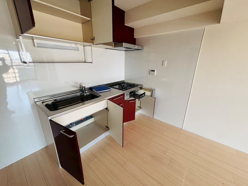 シラカワパレス その他27