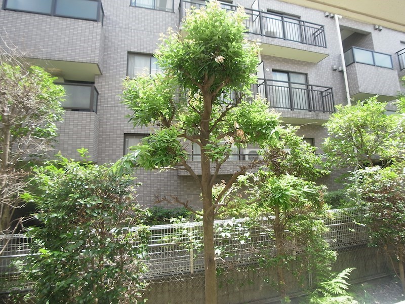 クレセントコート柏 その他5