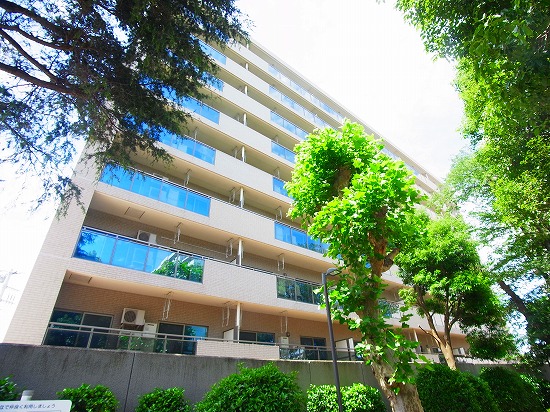 T's garden北柏　1号棟 504号室 外観