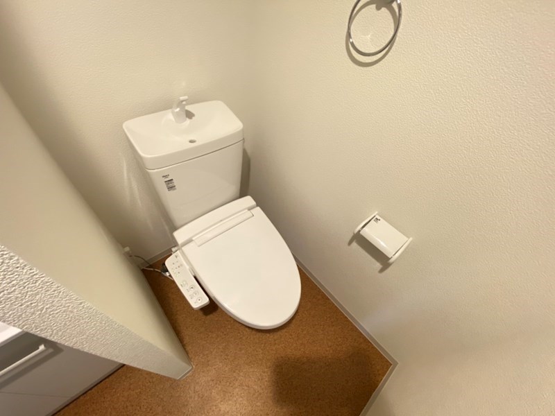 Luce Solare その他1