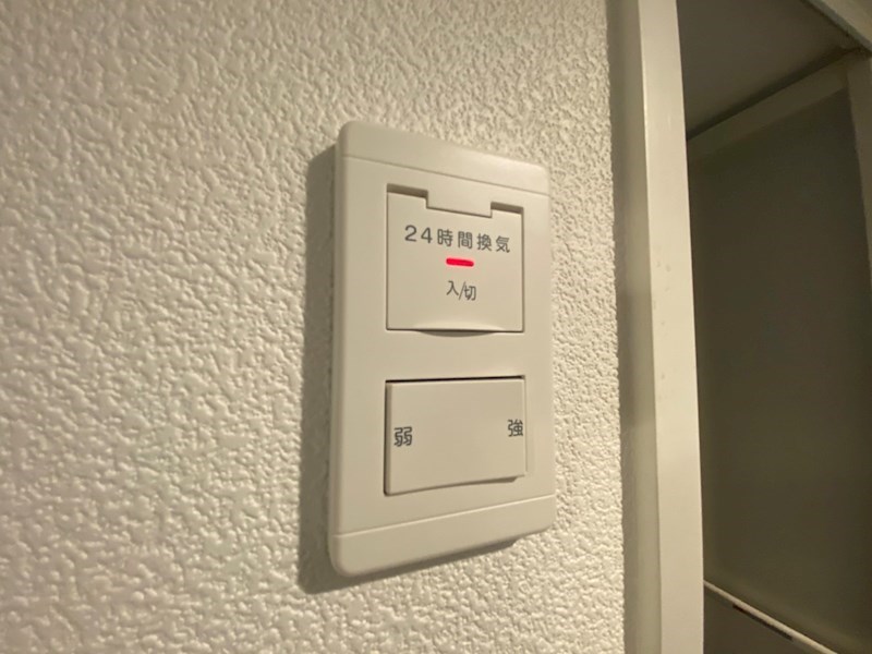 Luce Solare その他8