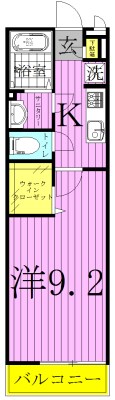 ピカソ 107号室 間取り
