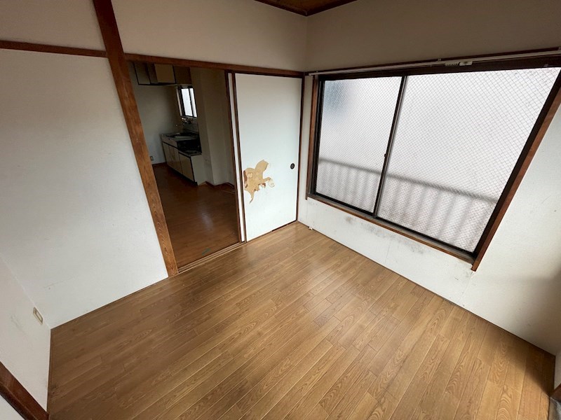 秋桜林 その他7