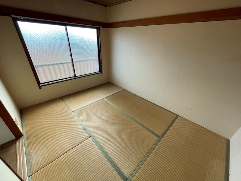 秋桜林 その他14