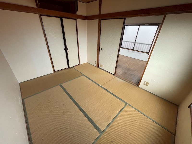 秋桜林 その他19