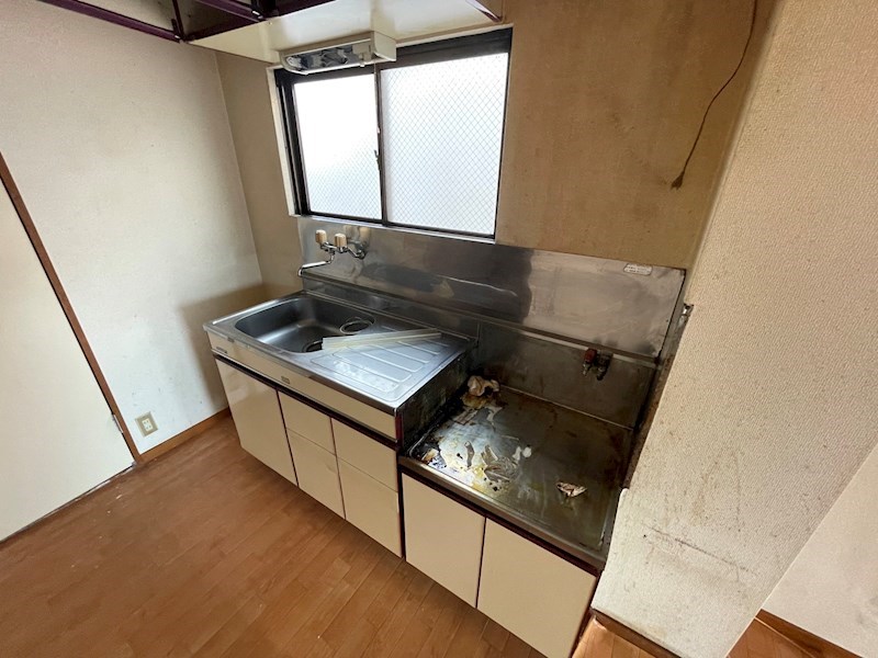 秋桜林 その他20