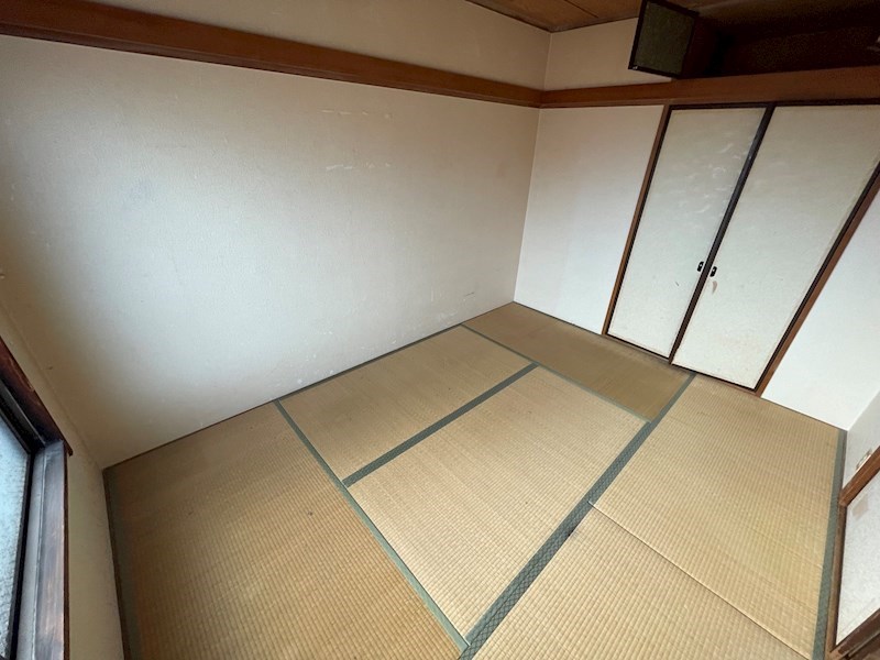 秋桜林 その他23