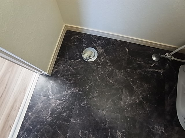 ＢＯＮＤＳ小台 その他11