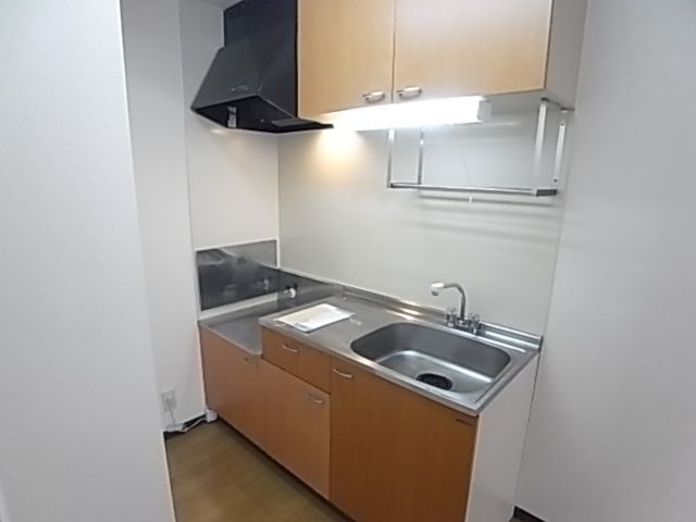 グリーンサイドヴィラⅡ キッチン