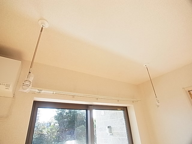 プリムラⅡ その他10