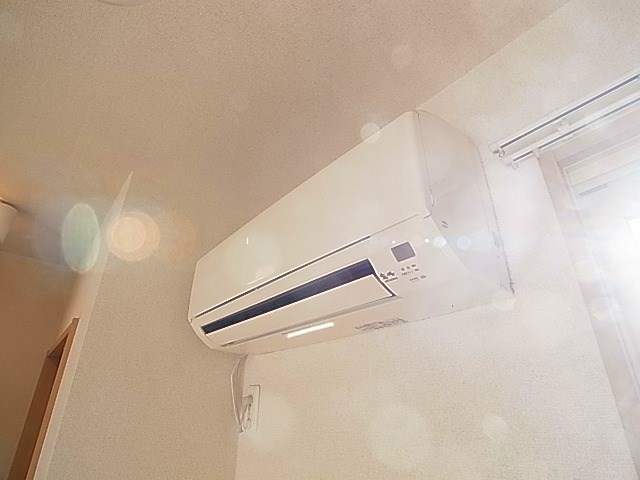 ボナール その他5