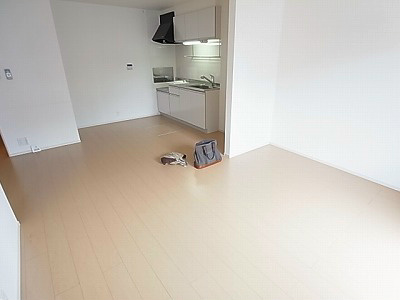 サンシャインビレッジアゼリアＢ リビング