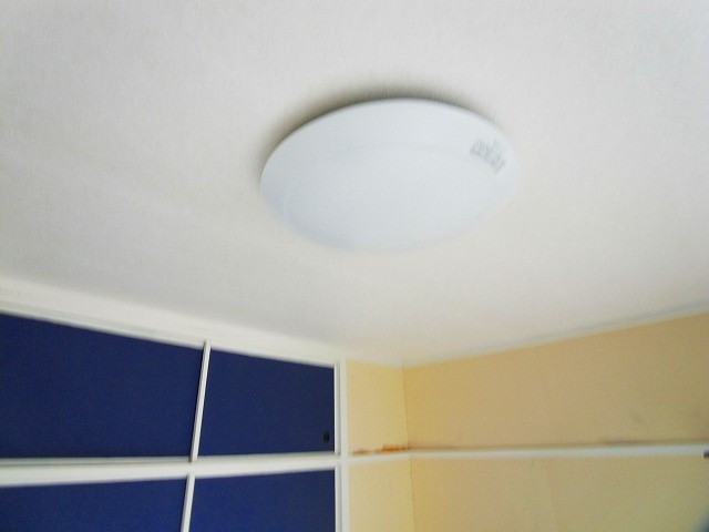 ピア３１  その他10