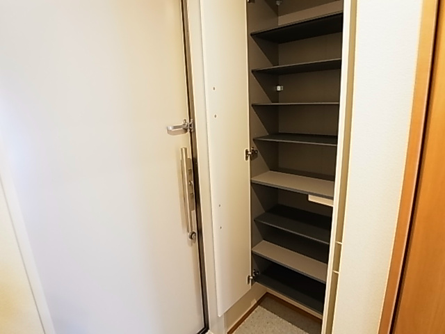 shu shu cinque その他9