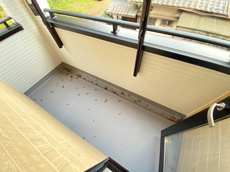 貸家（松戸市大橋） ベランダ