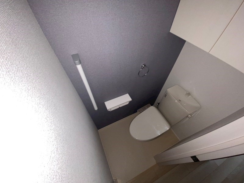 ノビコス その他1