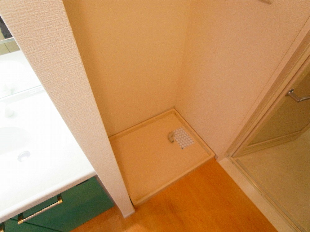 ロイヤルパークス新田 その他11