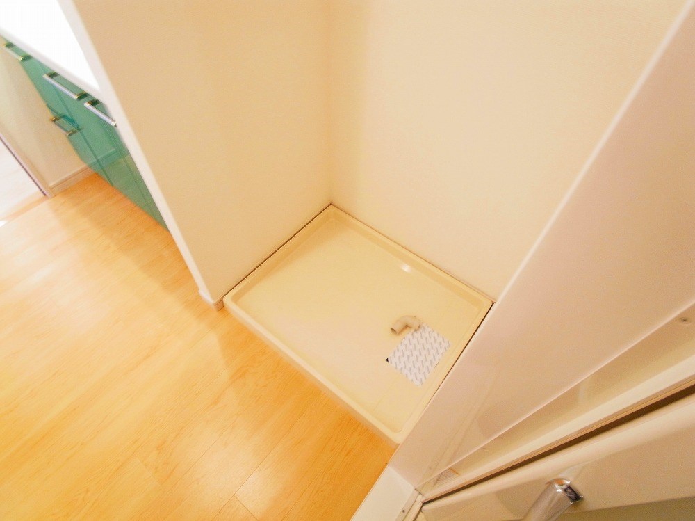 ロイヤルパークス新田 その他12