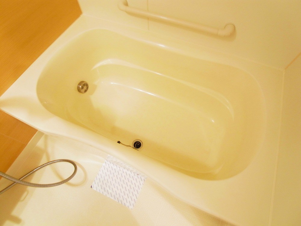 ロイヤルパークス新田 その他14