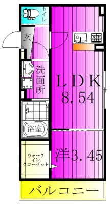 シャイネクス松戸上本郷 202号室 間取り