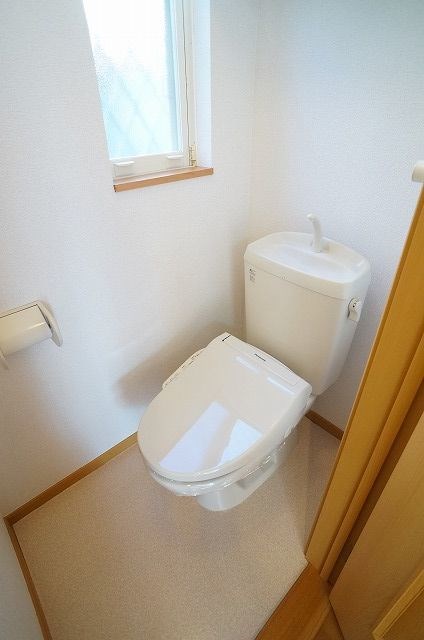 カメリア その他1