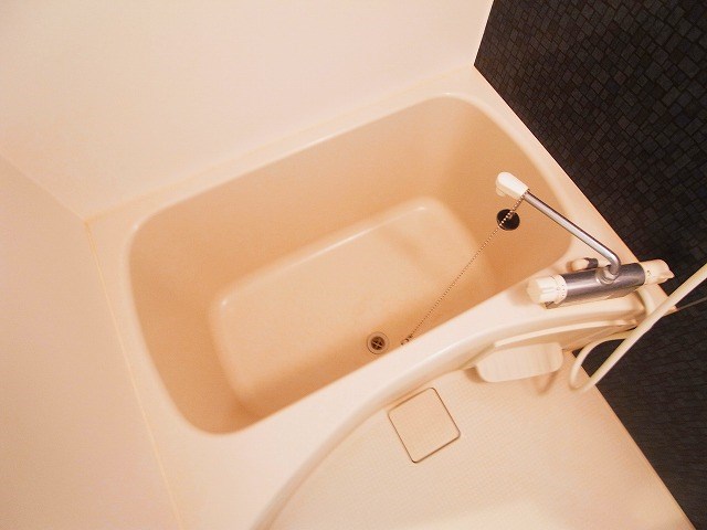 クレシア北松戸 その他12