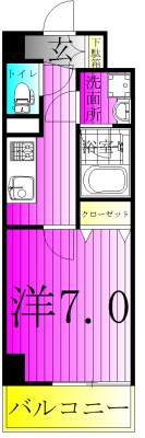 LaSante柏 805号室 間取り