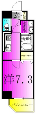 ザ・パームス柏 501号室 間取り